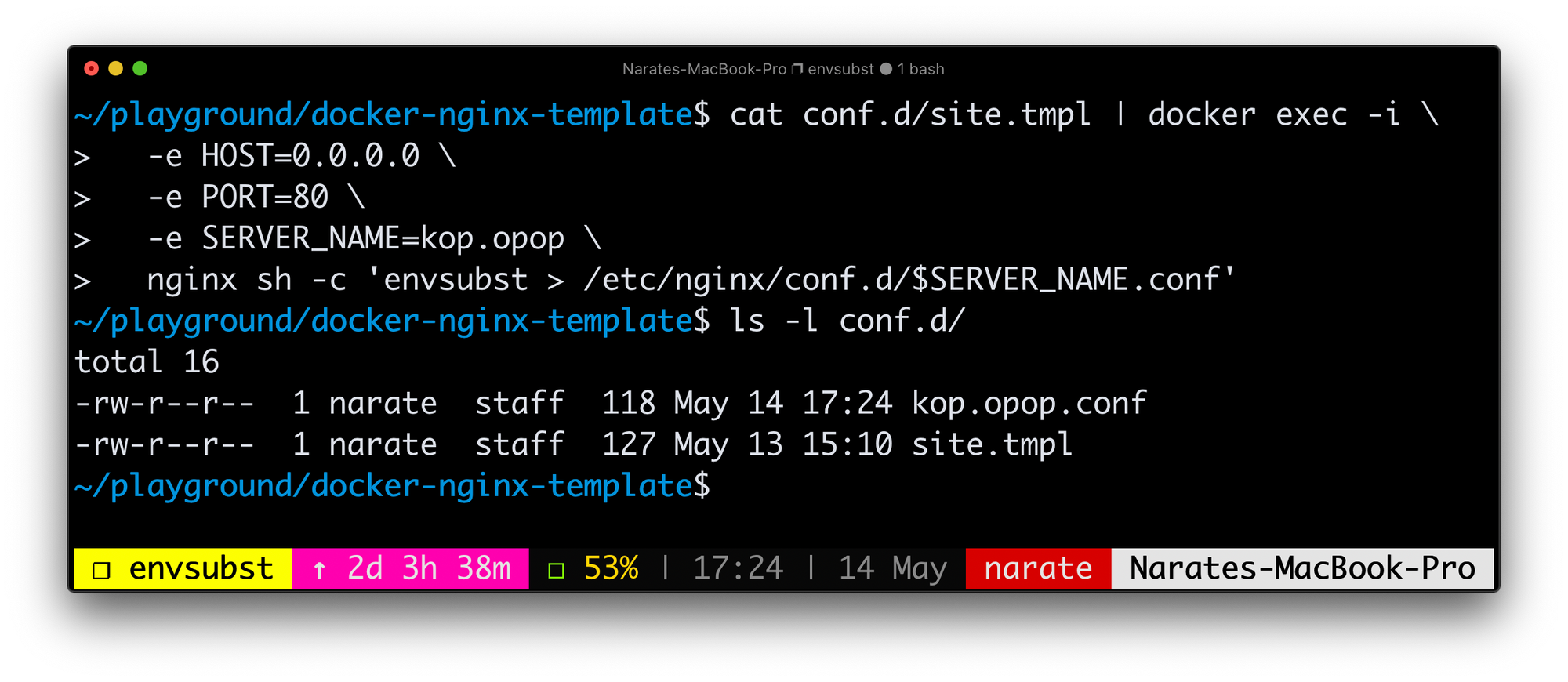 Nginx Configuration template